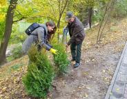 Лісівники долучилися до озеленення «Стрийського парку» у Львові