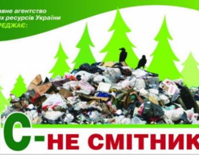 ВЕЛИКА ТОЛОКА У БРЮХОВИЦЬКОМУ ЛІСІ