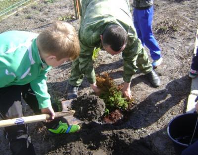 На Львівщині лісівники допомогли сиротинцю у озелененні території