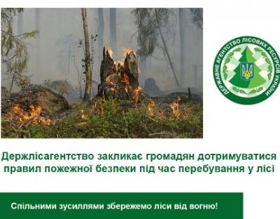 Держлісагентство закликає громадян дотримуватися правил пожежної безпеки під час перебування у лісі