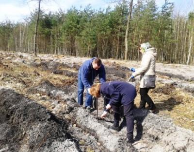 На Радехівщині відбулась Акція "Майбутнє лісу у твоїх руках"
