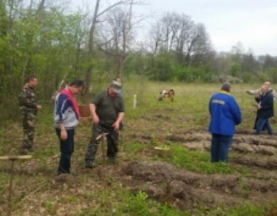 На Самбірщині представники влади долучились до посадок лісових культур