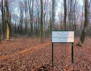 У державних лісогосподарських підприємствах Львівщини триває інвентаризація об’єктів постійної лісонасіннєвої бази