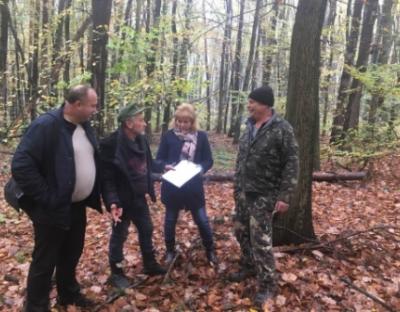 У Брюховицькому лісництві проведено семінар по всиханню соснових насаджень