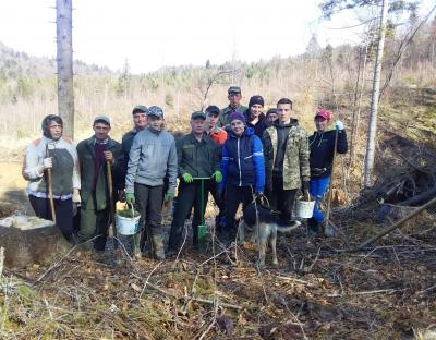 У Сколівському лісгоспі до садіння лісу долучилися місцеві жителі та учнівська молодь