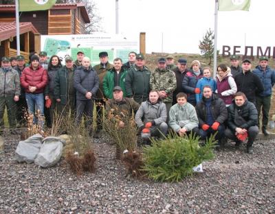  На території ведмежого притулку «Домажир» здійснено  озеленення  та благоустрій
