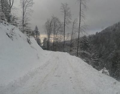 Будівництво та відновлення лісових доріг в 2017р.