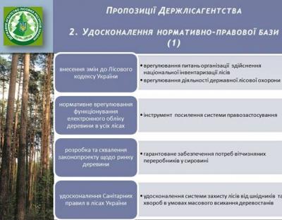 Володимир Бондар розповів про удосконалення нормативної бази лісового господарства