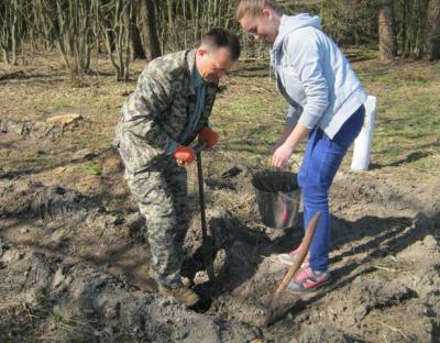 Лісовідновні роботи на Львівщині в розпалі