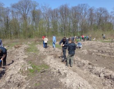 Журналісти телеканалу «Перший Західний» ознайомились з відновленням лісів у Бібрському лісгоспі