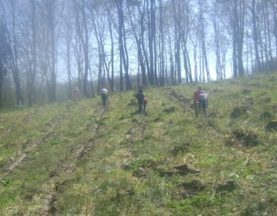 Весна – гаряча та продуктивна пора для лісівників