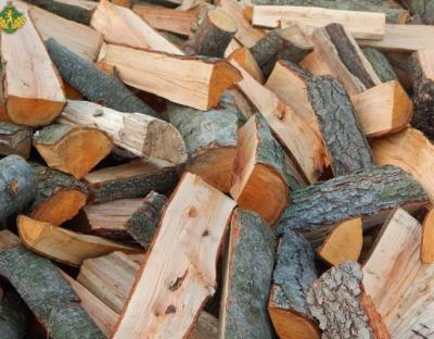 ОБЕРЕЖНО! ШАХРАЇ! Оплата за дрова паливні здійснюється на розрахунковий рахунок державного лісогосподарського підприємства, яке реалізовує дрова, а не на картки фізичних осіб!