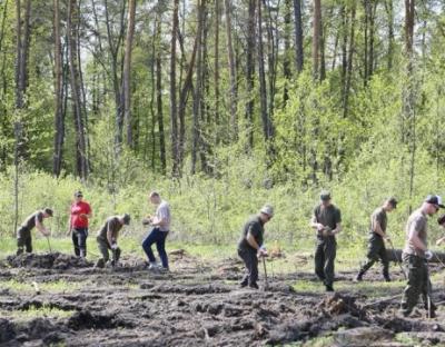 Капелани Гарнізонного храму з військовими висадили понад 6 тис. дерев у Рава-Руському лісгоспі