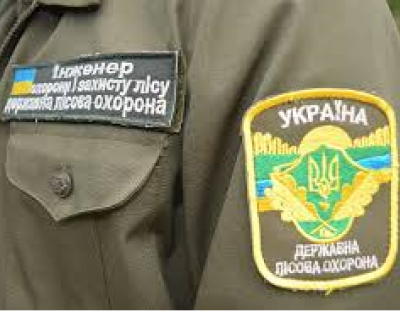 Затримано лісопорушника