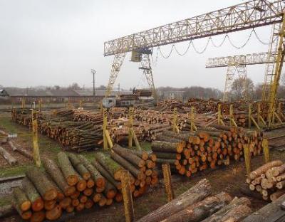 Виробничу програму сформовано
