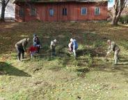 Вихованці Майданської початкової школи долучилися до садіння дерев у НПП  "Сколівські Бескиди"