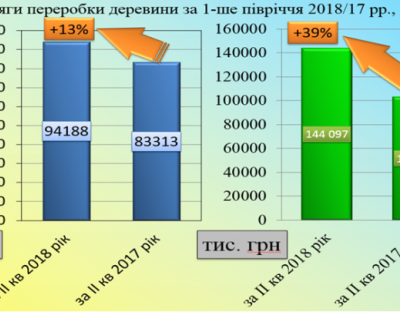 Збільшення обсягів переробки деревини