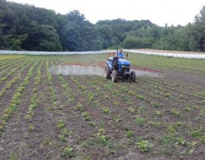 Лісовідновлення – пріоритет Програми розвитку лісового господарства Львівщини