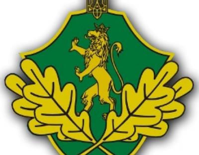 Державні лісгоспи - місцевим бюджетам