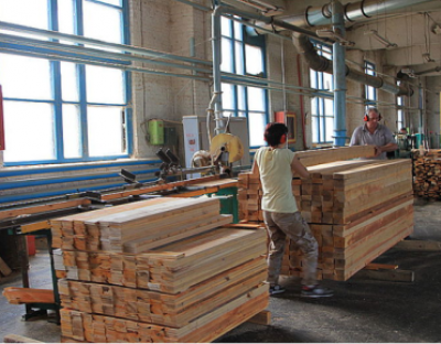 Збільшення обсягів переробки деревини
