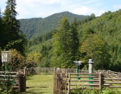 Проблеми управління лісовими водозборами
