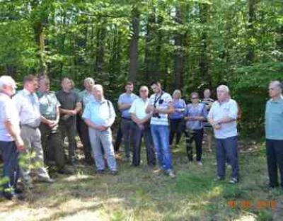 Лісівники Бузеччини провели семінар по всиханню соснових насаджень
