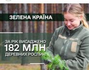 За цей рік у рамках програми Президента «Зелена країна» лісівники висадили ще близько 182 мільйонів деревних рослин — Юрій Болоховець
