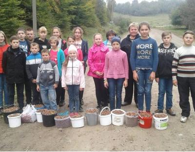 Вирощування лісів – головне завдання для лісівників