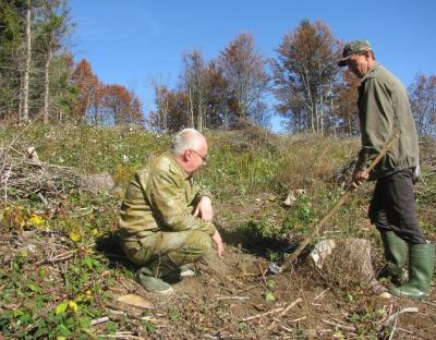 Сколівський лісгосп завершує лісокультурну кампанію 2018 з перевиконаними планами