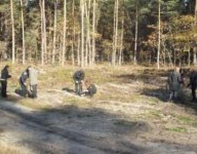 Лісівники Львівщини долучилися до проведення загальногалузевого заходу з осінньої посадки лісу в рамках відзначення Міжнародного року лісів