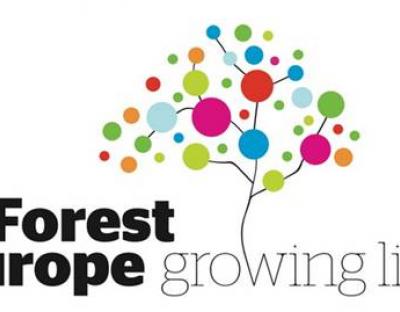 У рамках процесу "Ліси Європи" відбулося засідання групи експертів з питань адаптації лісів до зміни клімату