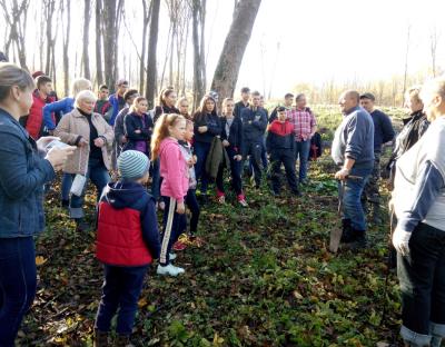 400 га лісу доглянули у ДП "Бібрський лісгосп"