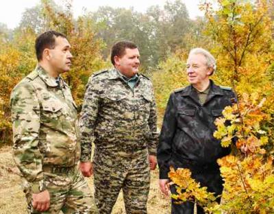 Ростуть на зрубах нові ліси