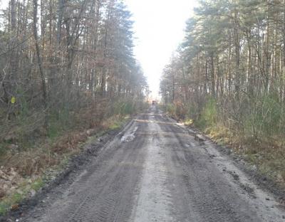 Навчання із інвентаризації лісових автомобільних доріг