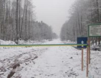 На Радехівщині відкрили нову лісову дорогу