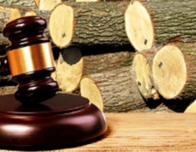 Підсумки торгів необробленою деревиною заготівлі першого кварталу 2020 р.