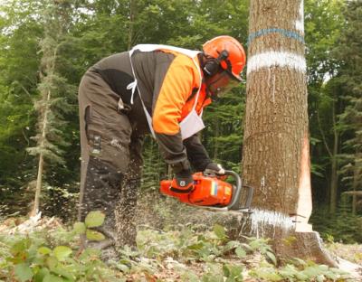 Всеукраїнський конкурс-змагання вальників лісу