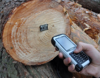 Колегія Держлісагентства рекомендувала реалізовувати деревину через електронні сервіси, зокрема, систему ProZorro