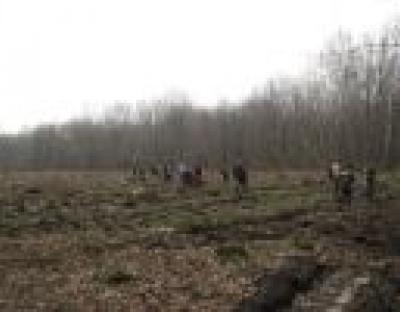 На Дрогобиччині школярі спільно з лісівниками садили ліс