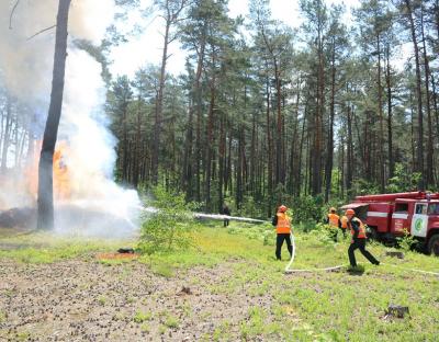 ДП "Рава-Руський лісгосп": семінар-навчання по методах та способах гасіння лісових пожеж