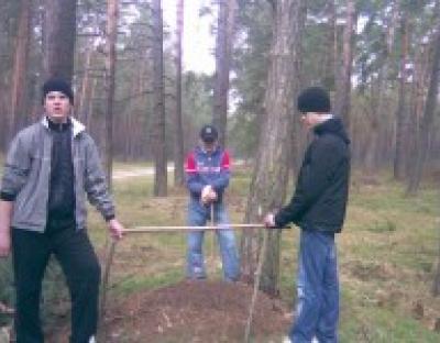 Підсумки проведення першого етапу Акції "Майбутнє лісу у твоїх руках" на Львівщині
