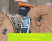 Е-облік деревини: боротьба з незаконним обігом деревини триває