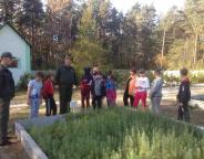 Цікаві та пізнавальні екскурсії для школярів у Рава-Руському лісгоспі