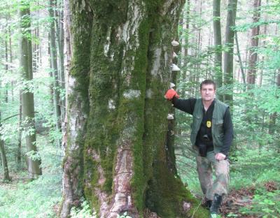 Між Львівським ОУЛМГ та ГО «Дунайсько-Карпатська Програма»  підписано Меморандум про співпрацю з  метою збереження біологічного різноманіття на Львівщині