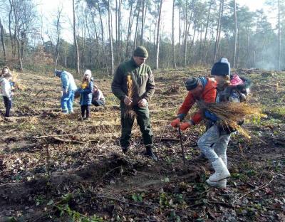 Учні Калинівської ЗОШ І-ІІ ст. долучились до садіння лісу у Яворівському лісництві