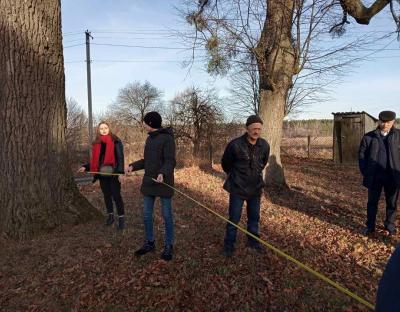 Учнівське лісництво "Паросток" взяло участь у дослідженні дерев-патріархів Бродівщини