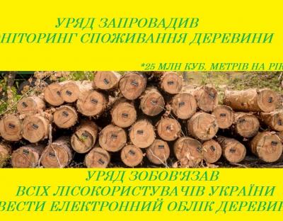 Уряд затвердив Порядок проведення моніторингу внутрішнього споживання деревини