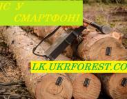 Уже в 14 областях можна перевірити законність заготівлі деревини онлайн