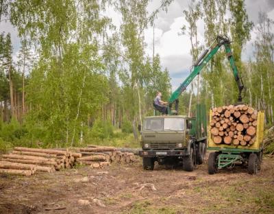 Заблоцький про ліс: Голова Держлісагентства у Telegram-каналі розповів, як перевірити законність перевезення деревини онлайн