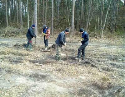 На Львівщині розпочалася весняна лісокультурна кампанія 2020 року